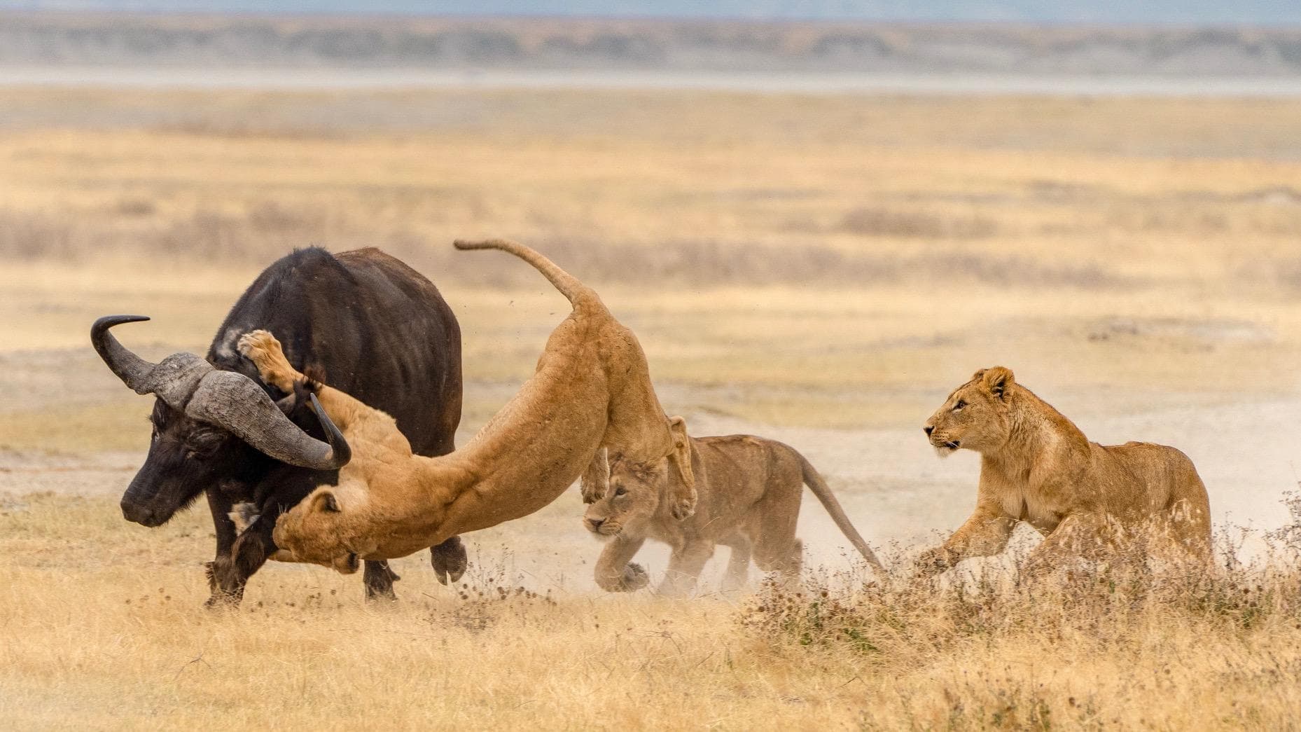 3-Day Maasai Mara Adventure & Culture Safari