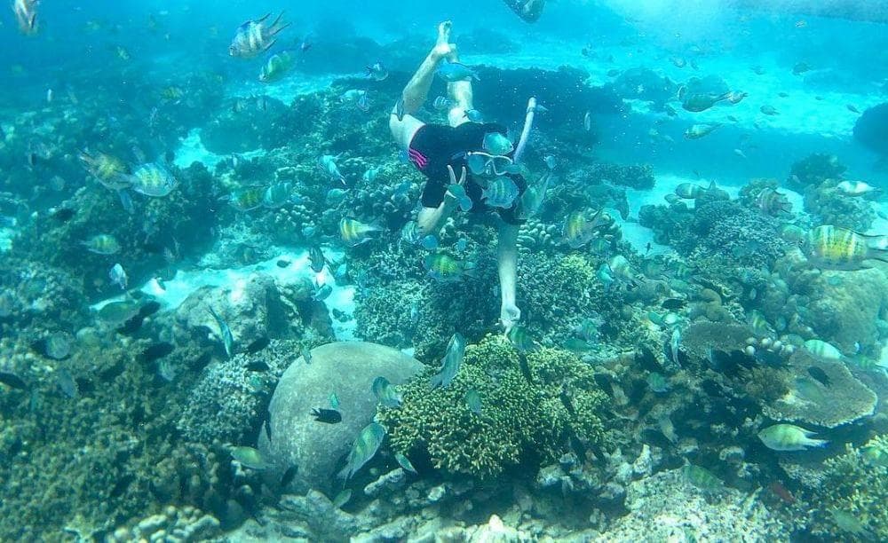 Diani Beach gallery 3