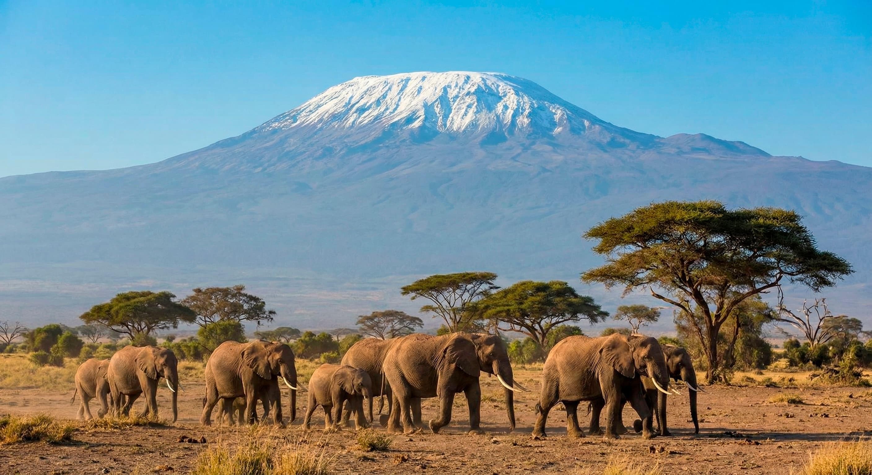 Amboseli