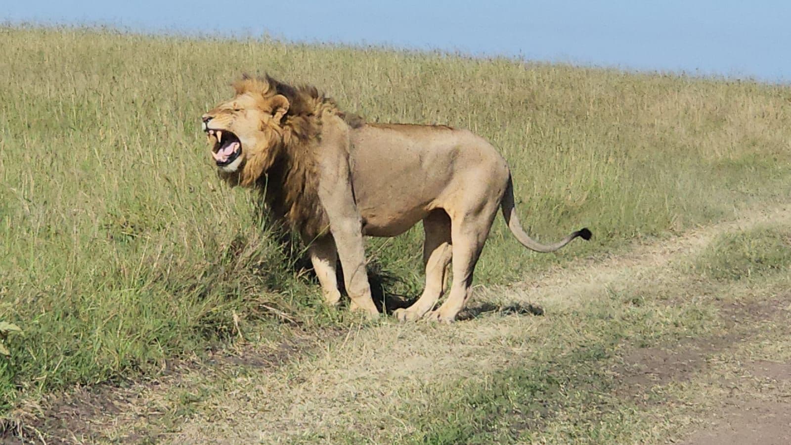Amboseli gallery 2