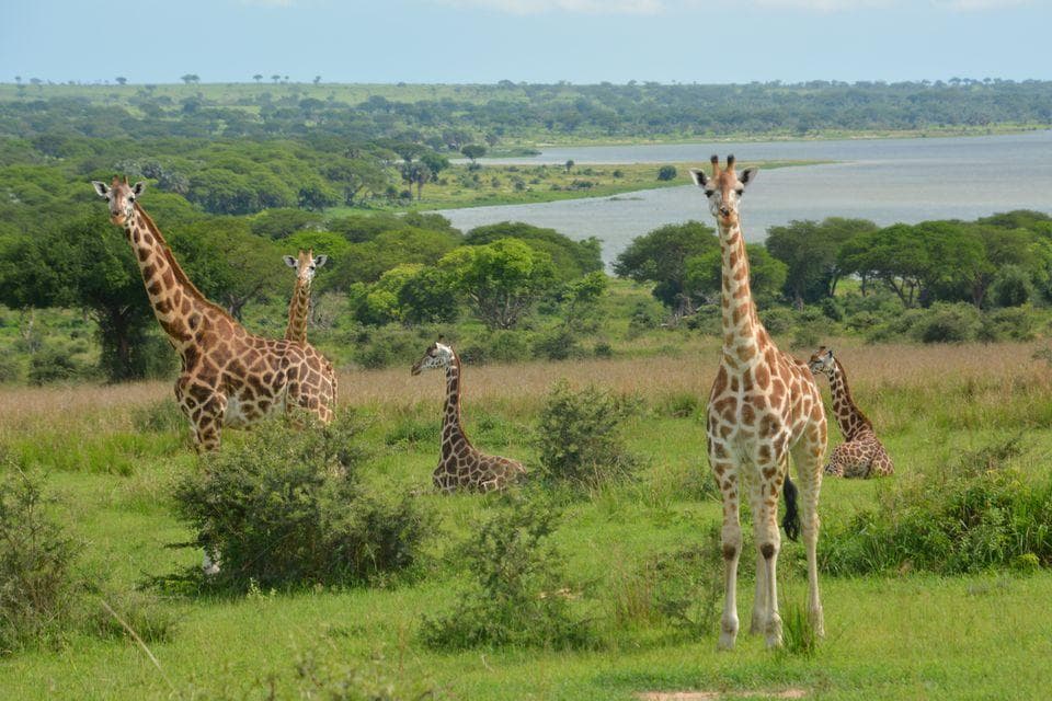 Murchison Falls gallery 2