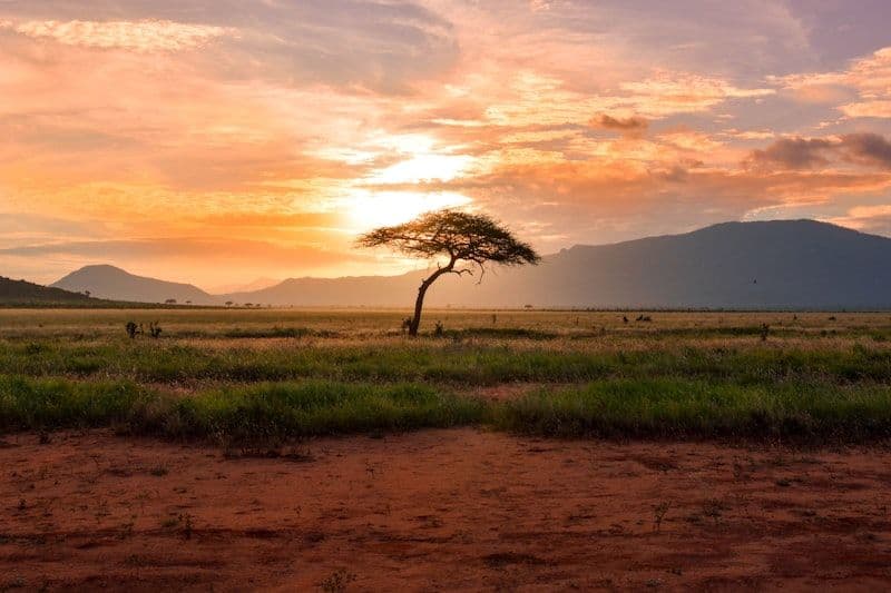 Ol Pejeta gallery 3