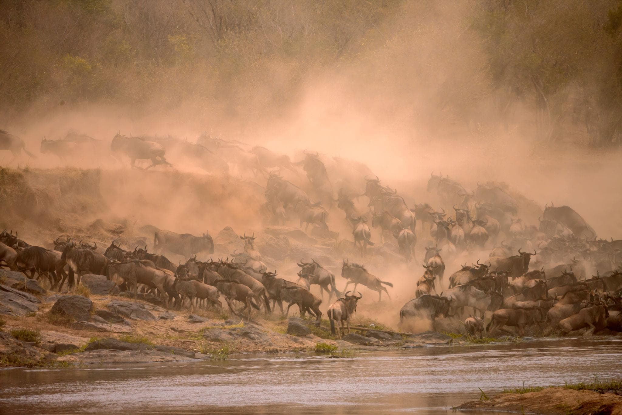 5 Day Mara + lake Nakuru National Park