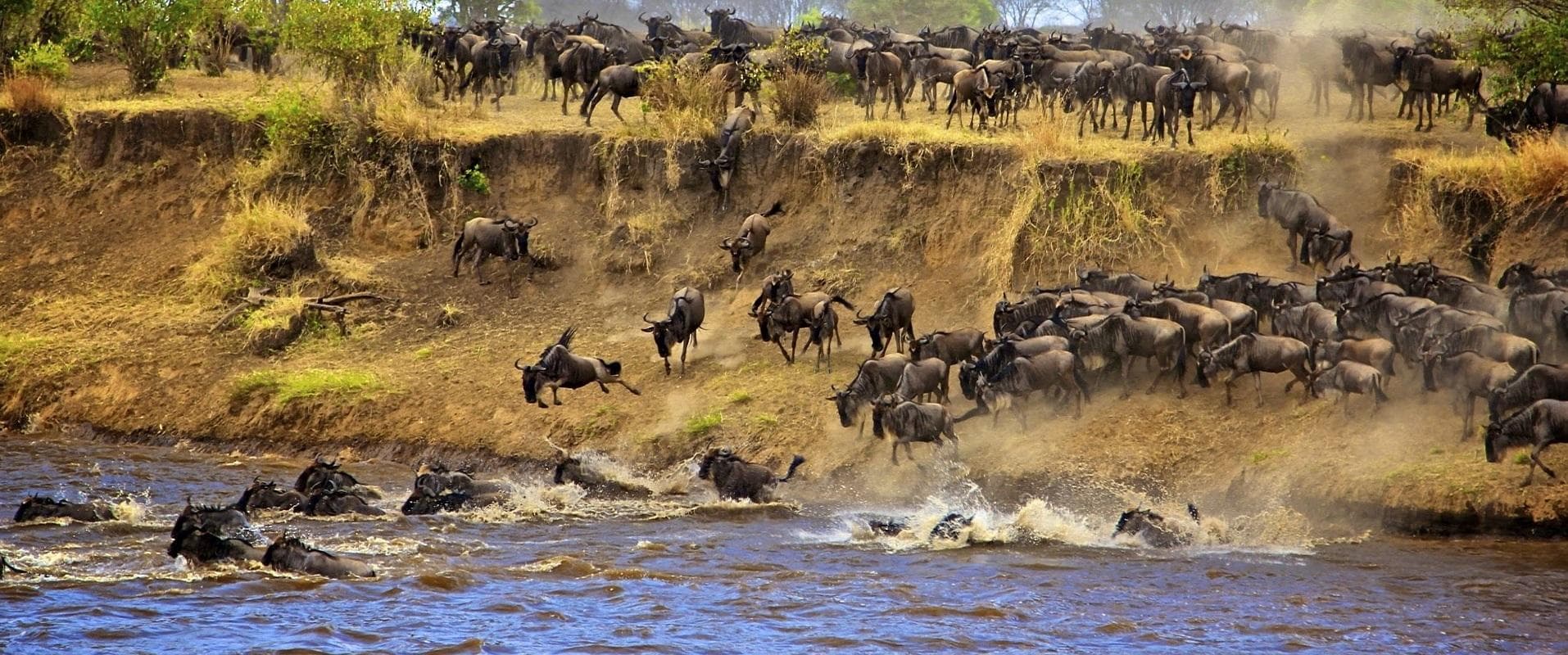 Mara river