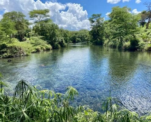 Mzima Springs