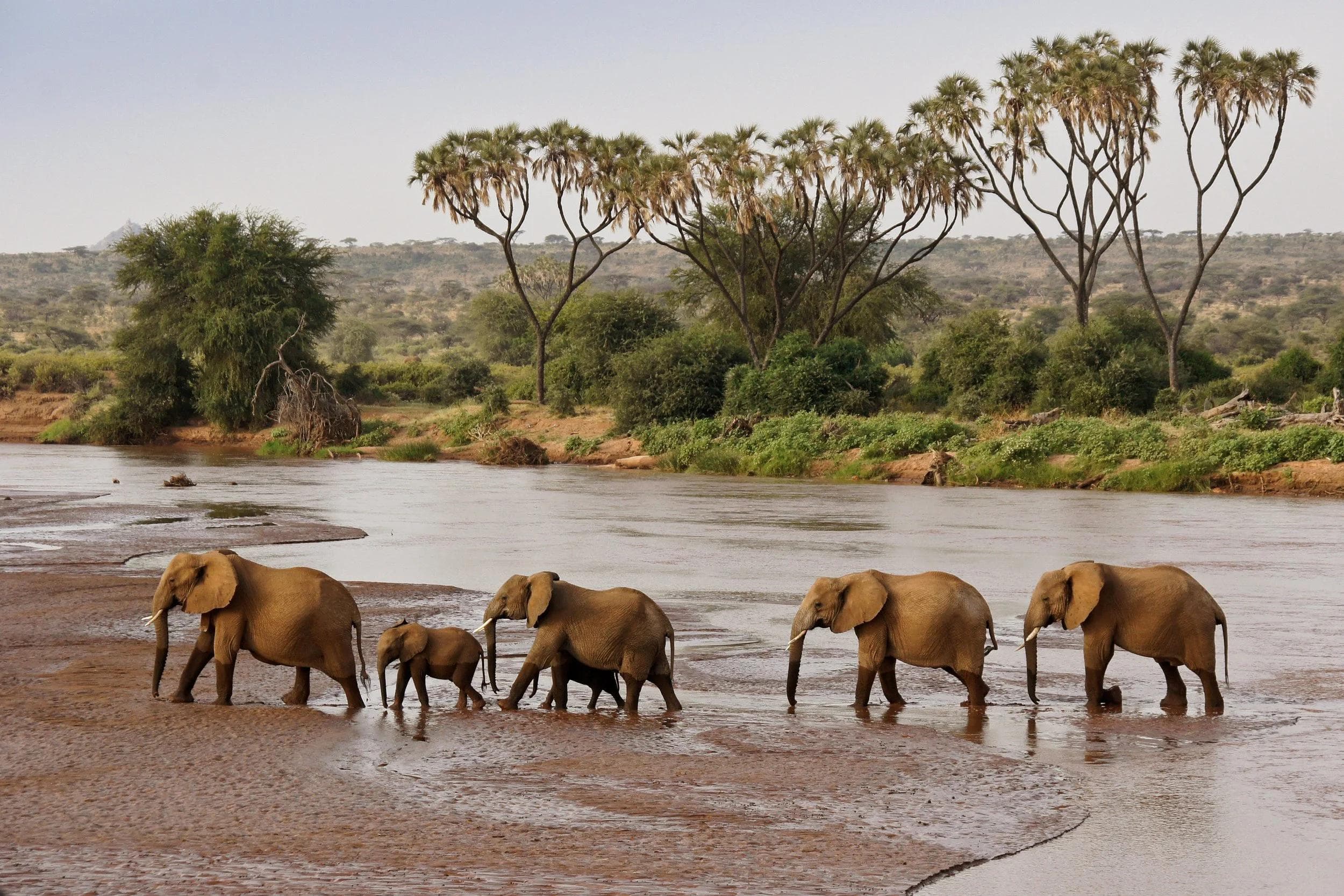 Samburu gallery 4