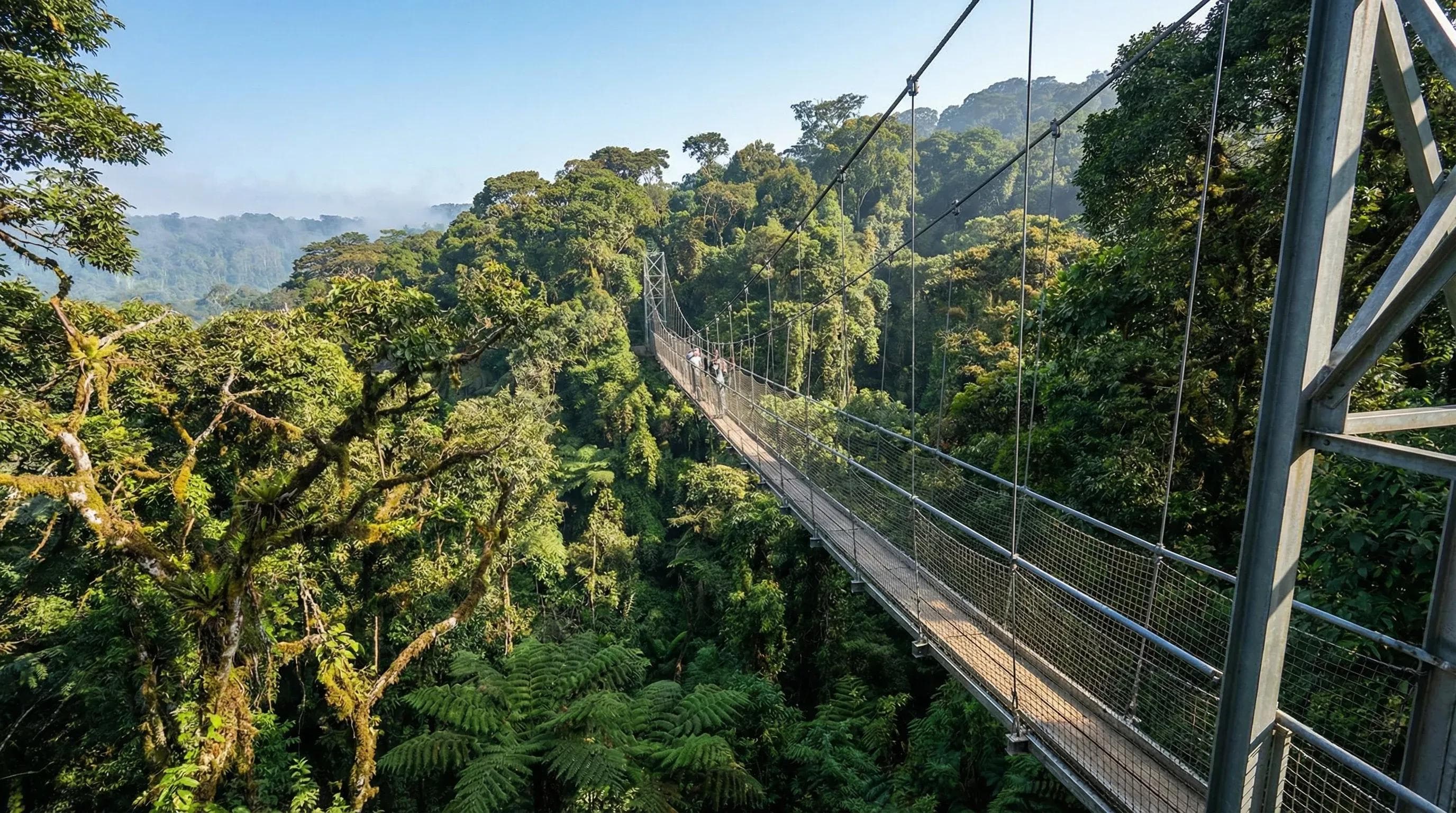 Nyngwe Forest Rwanda