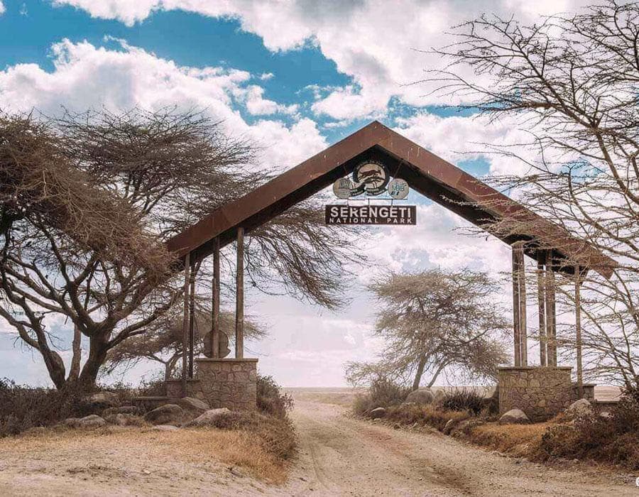 Serengeti
