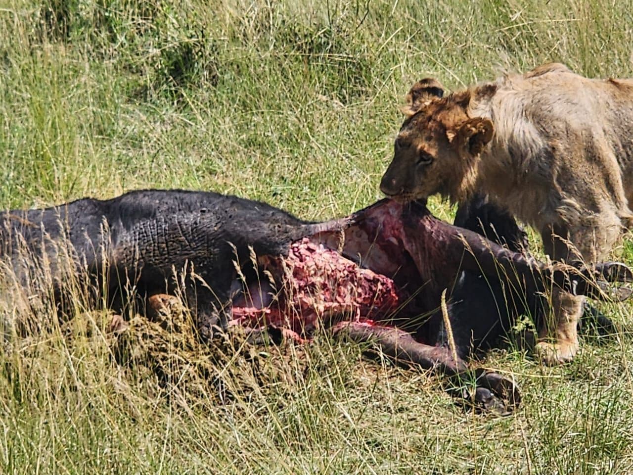 Nairobi, Kenya
