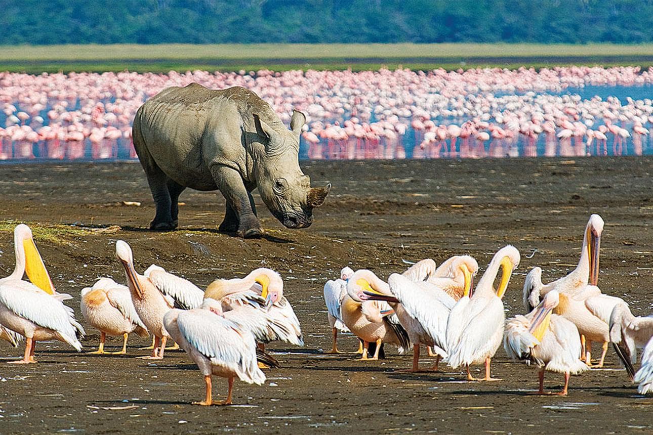 Lake Nakuru